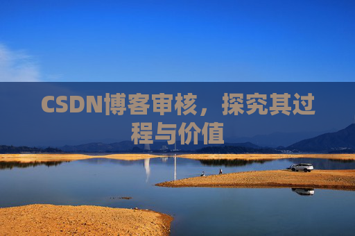 CSDN博客审核，探究其过程与价值